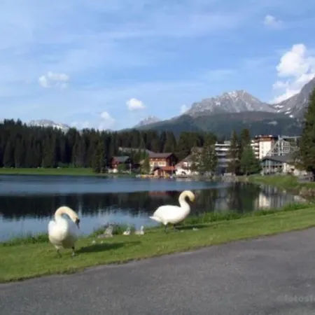 Paradies أروسا
